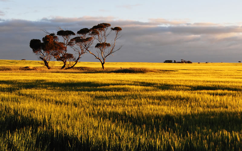 Yorke Peninsula Accommodation Adelaide
